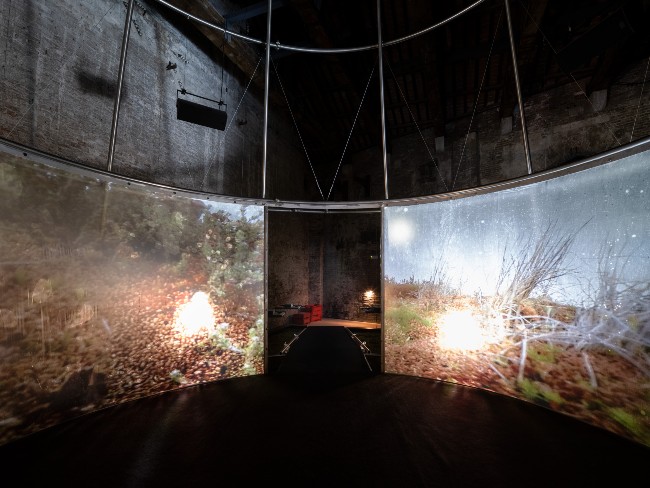 Turba Tol, the ‘heart of the peatlands’, in the Chilean Pavilion at the Venice Biennale 2022